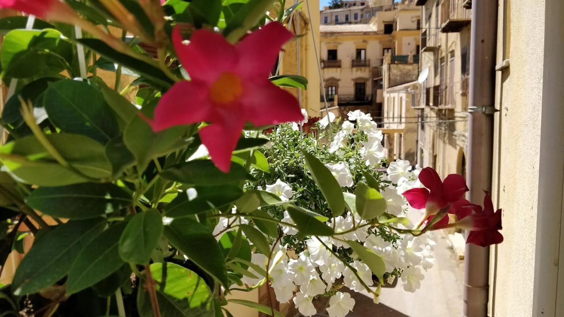 Guest house Kalos Rooms Agrigento