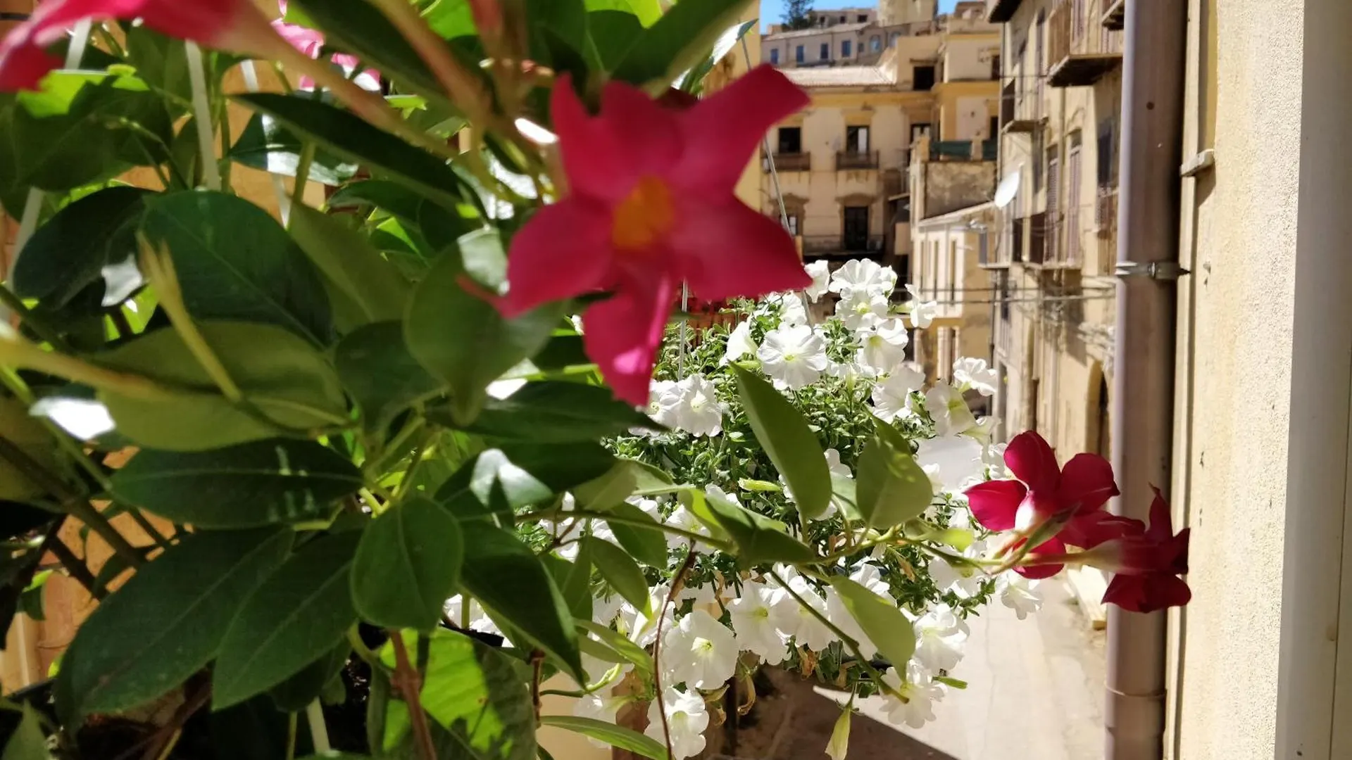 Kalos Rooms Agrigento Italy